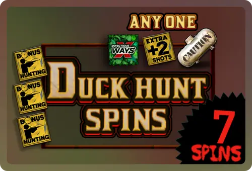 Duck Hunt Spins dans le jeu Duck Hunters